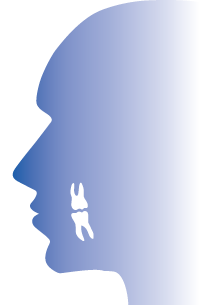 Profil eines Kopfes als Illustration